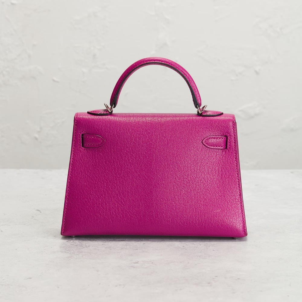 Hermes Chèvre Kelly 20 Handbag - Picture 8 of 11